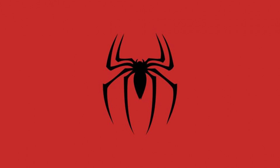 Spiderman banner